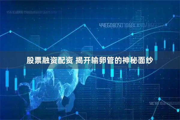 股票融资配资 揭开输卵管的神秘面纱